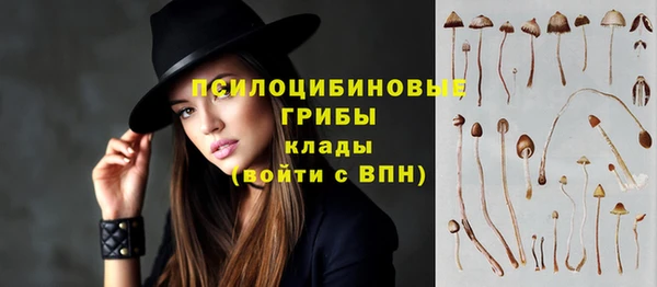 таблы Дмитровск