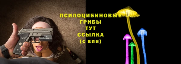 mdpv Дмитров