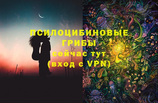 mdpv Дмитров