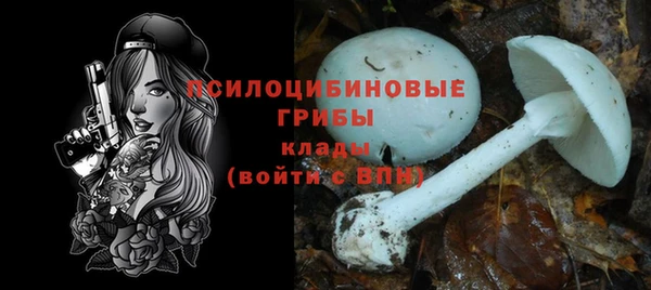 мескалин Дмитриев