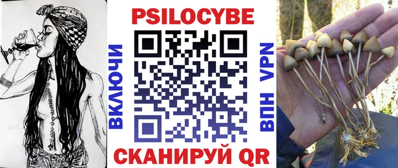 Псилоцибиновые грибы Psilocybine cubensis  Купить где  Ивангород 