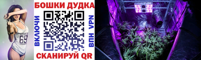 Канабис индика  Купить  Ивангород 